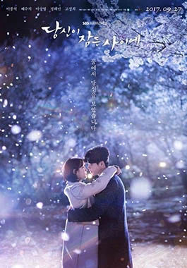 While You Were Sleeping (당신이 잠든 사이에, 2017) poster