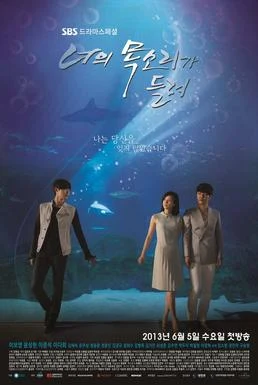 I Hear Your Voice (너의 목소리가 들려, 2013) poster