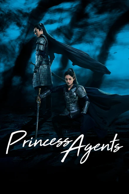 Poster for Princess Agents