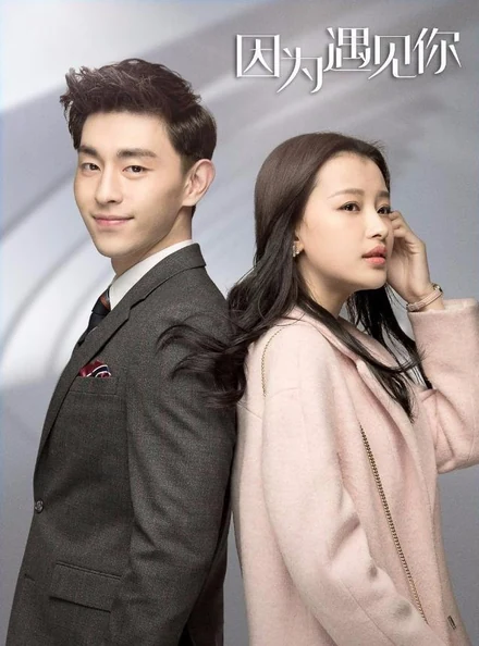 Poster for Because of Meeting You