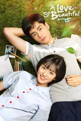 Poster for A Love So Beautiful