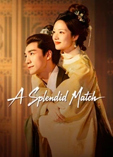 Poster for A Splendid Match