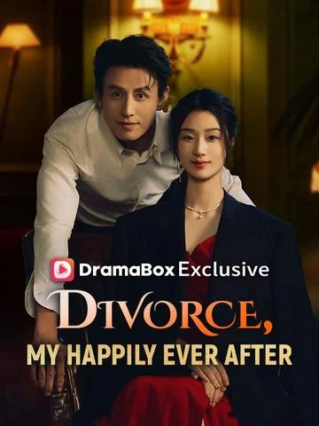 幸得相遇离婚时 exact-title poster