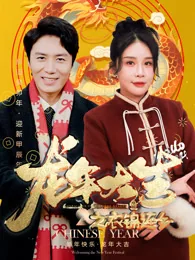 龙年大吉之衣锦还乡 exact-title poster