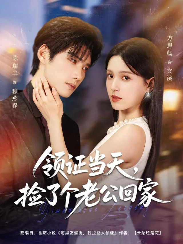 领证当天，捡了个老公回家 exact-title poster