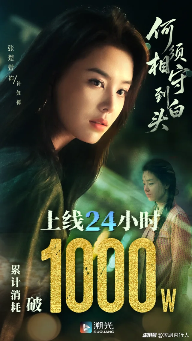 何须相守到白头 exact-title poster