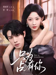 只为占有你 exact-title poster