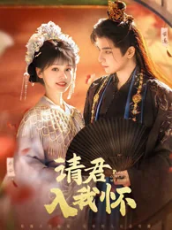请君入我怀 exact-title poster