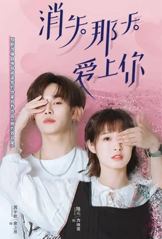 Disappearing Love / 消失那天爱上你 (2022) promotional poster