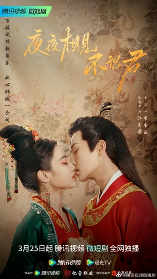 My Decoy Bride (夜夜相见不识君, 2023) poster
