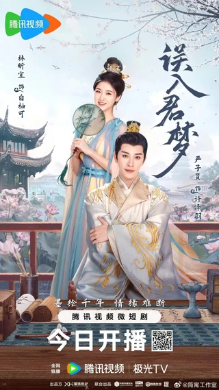 Unspeakable Longing (误入君梦, 2024) poster
