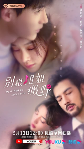 Destined to Meet You (别跟姐姐撒野, 2022) poster