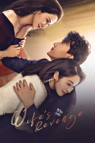 Wife's Revenge (妻子的反攻, 2021) poster