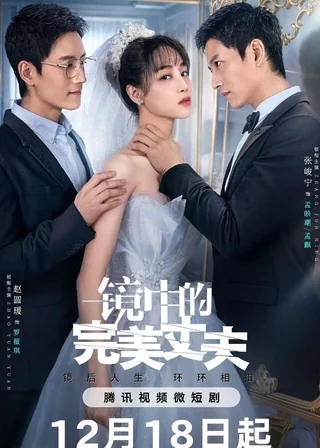 The Perfect Husband in the Mirror (镜中的完美丈夫, 2023) poster
