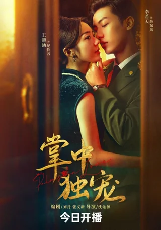 Palms on Love (掌中独宠, 2024) official poster
